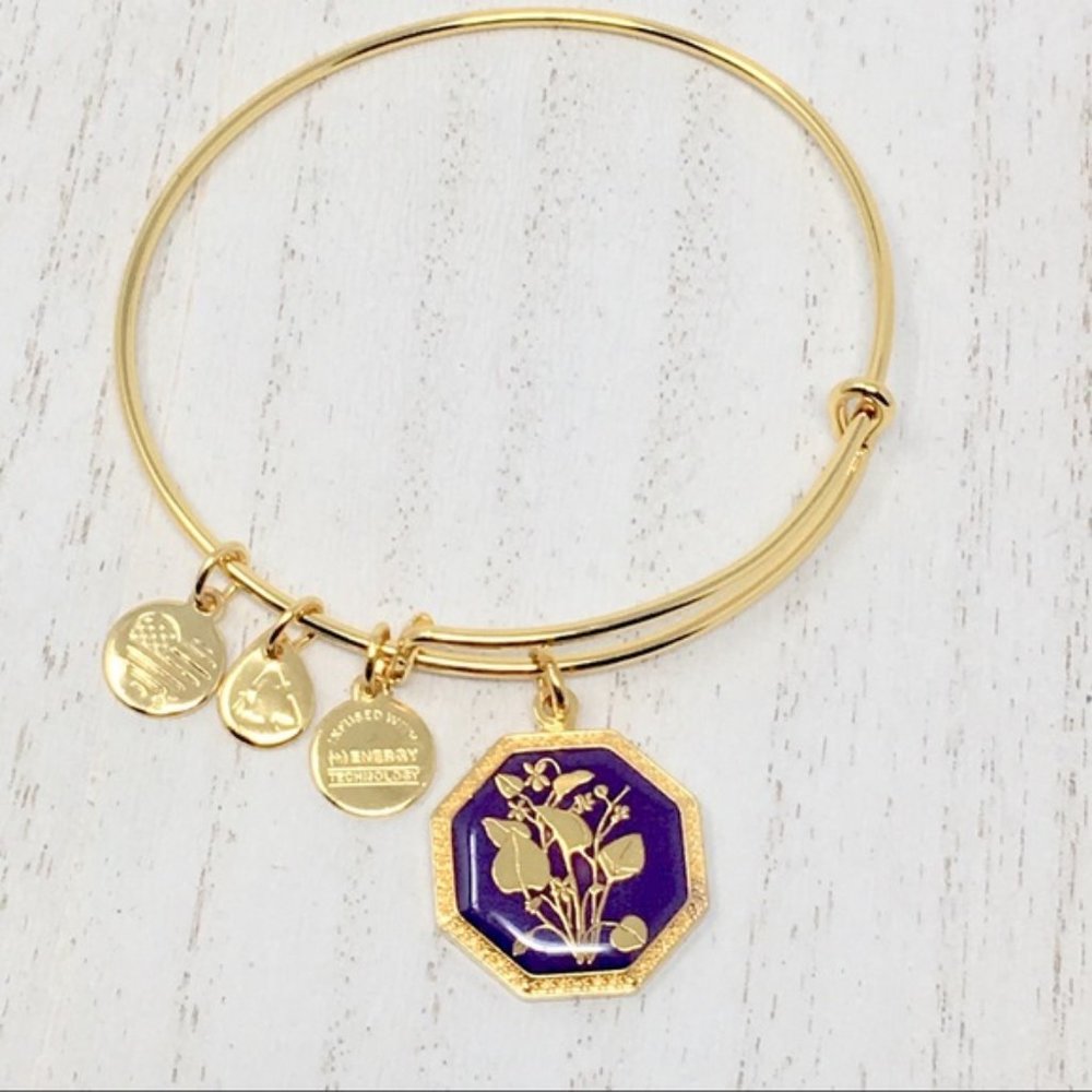 ALEX & ANI Violet February Seduced By Innocence Bangle Gold Tone